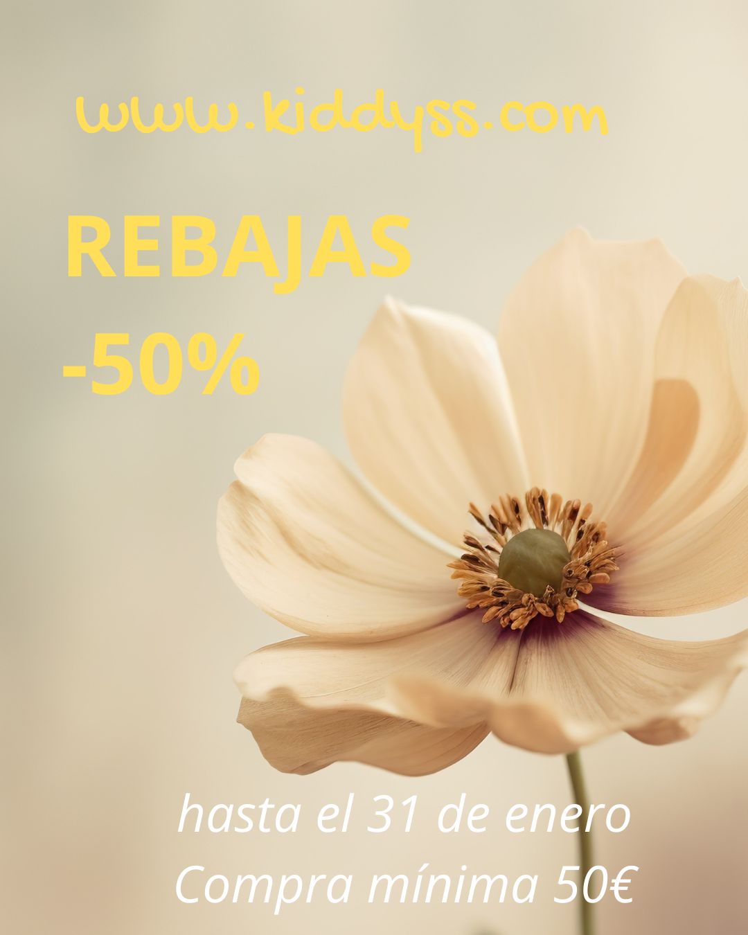 *** REBAJAS!! 50%!!! ***